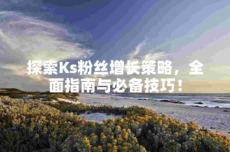 探索Ks粉丝增长策略，全面指南与必备技巧！