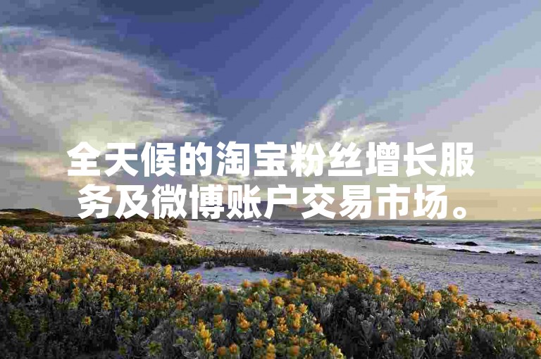 全天候的淘宝粉丝增长服务及微博账户交易市场。