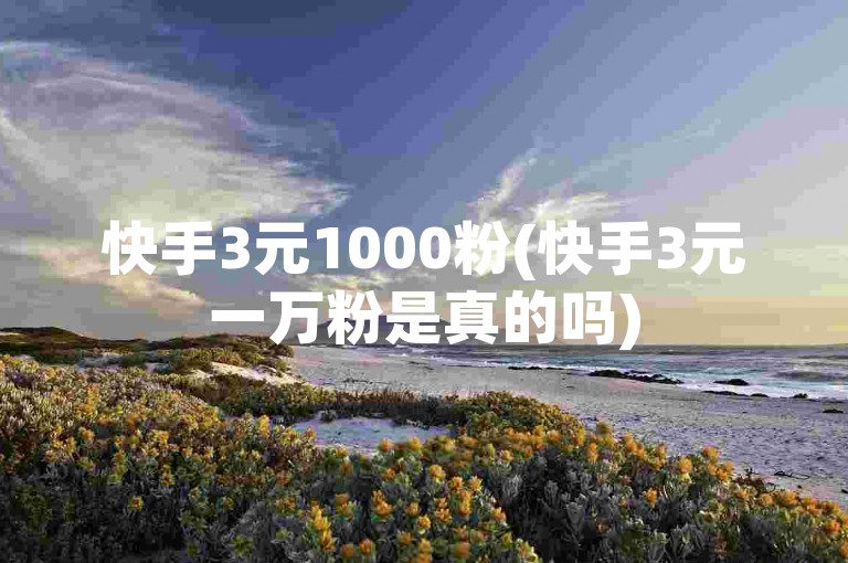 快手3元1000粉(快手3元一万粉是真的吗)