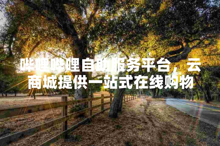 哔哩哔哩自助服务平台，云商城提供一站式在线购物体验。