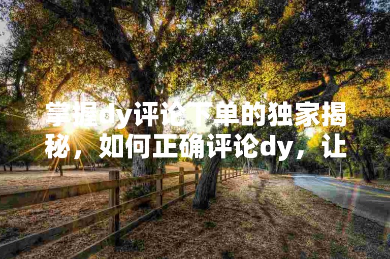 掌握dy评论下单的独家揭秘，如何正确评论dy，让你的评论更有推广效果！2025必学。