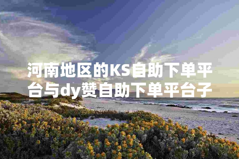 河南地区的KS自助下单平台与dy赞自助下单平台子子酱铺提供便捷的在线服务。