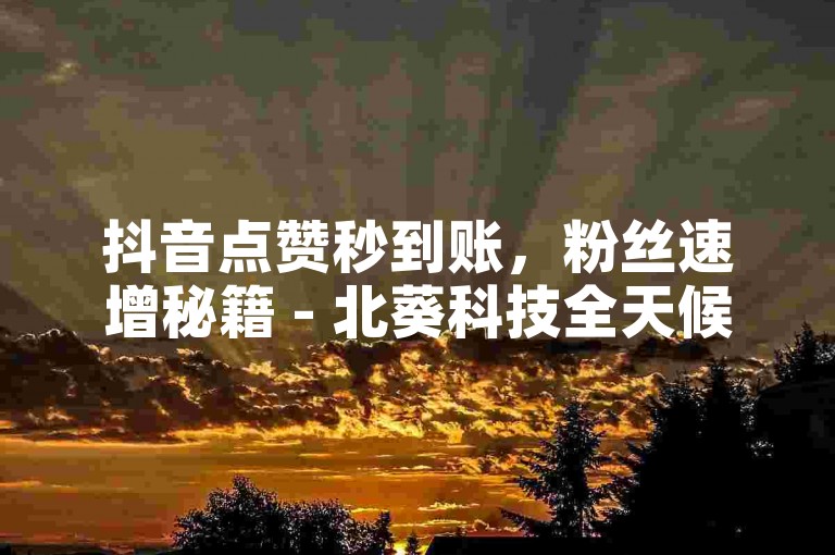 抖音点赞秒到账，粉丝速增秘籍 - 北葵科技全天候服务，低价高效助你人气爆棚！