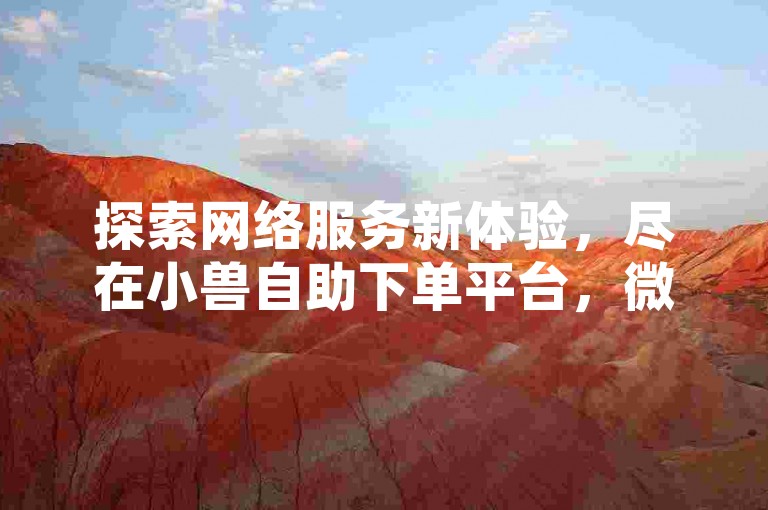 探索网络服务新体验，尽在小兽自助下单平台，微信ks业务轻松搞定。