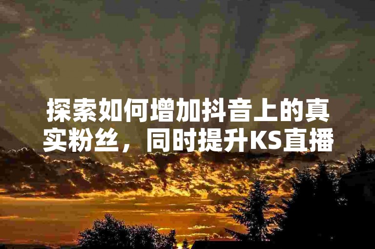 探索如何增加抖音上的真实粉丝，同时提升KS直播间的在线人气——全新自动评论工具现已登场！