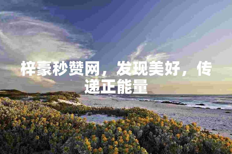 梓豪秒赞网，发现美好，传递正能量