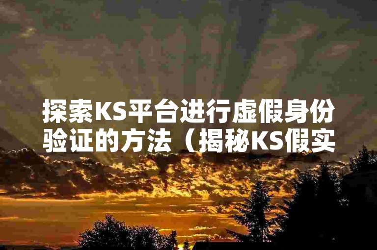 探索KS平台进行虚假身份验证的方法（揭秘KS假实名认证的技巧）。