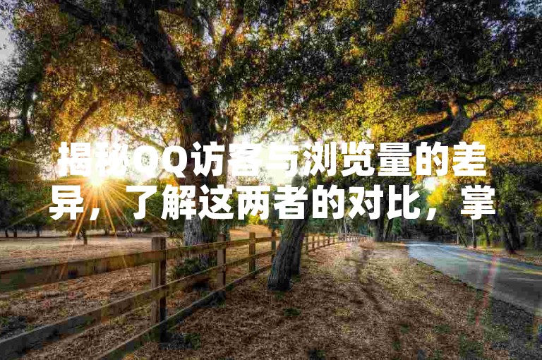 揭秘QQ访客与浏览量的差异，了解这两者的对比，掌握2025年必备知识！