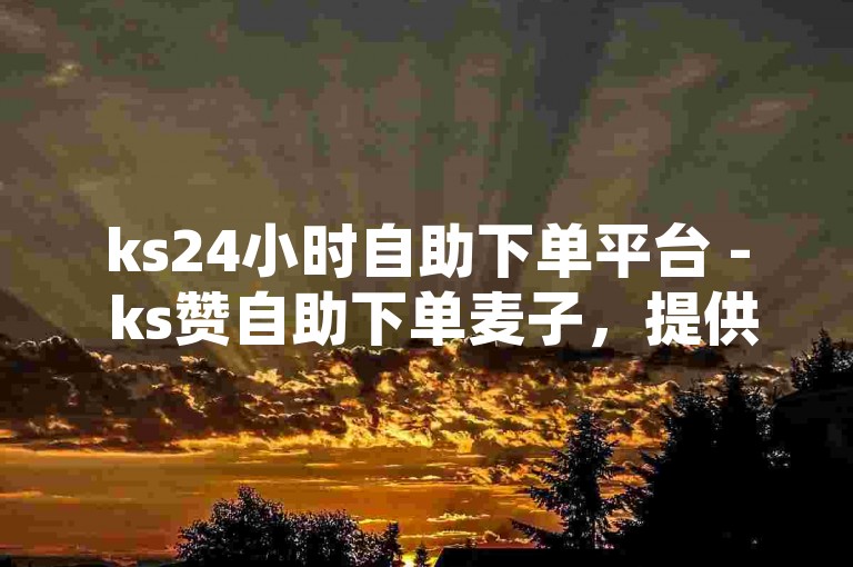 ks24小时自助下单平台 - ks赞自助下单麦子，提供全天候不间断的便捷服务。