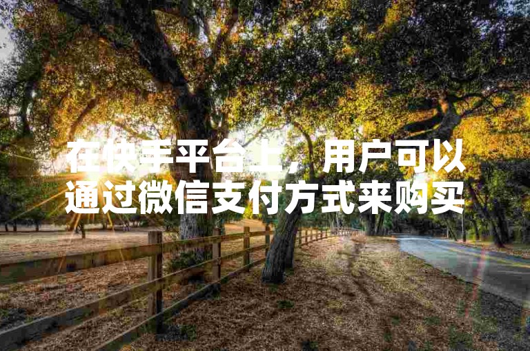 在快手平台上，用户可以通过微信支付方式来购买真人点赞服务。