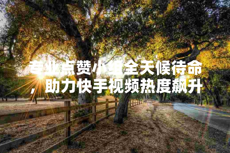 专业点赞小组全天候待命，助力快手视频热度飙升。