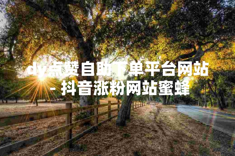 dy点赞自助下单平台网站 - 抖音涨粉网站蜜蜂