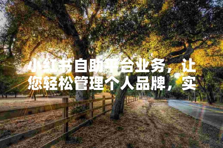 小红书自助平台业务，让您轻松管理个人品牌，实现高效推广。