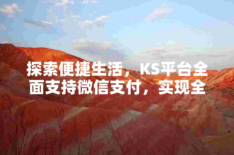 探索便捷生活，KS平台全面支持微信支付，实现全天候自助下单的全新购物体验。