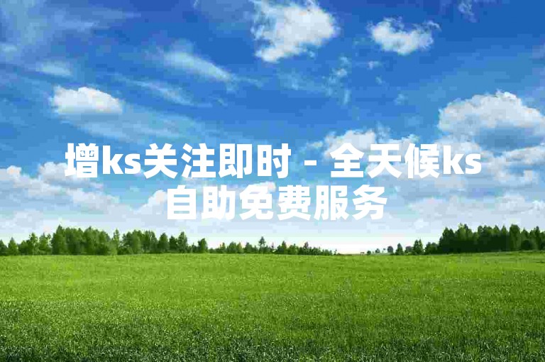 增ks关注即时 - 全天候ks自助免费服务