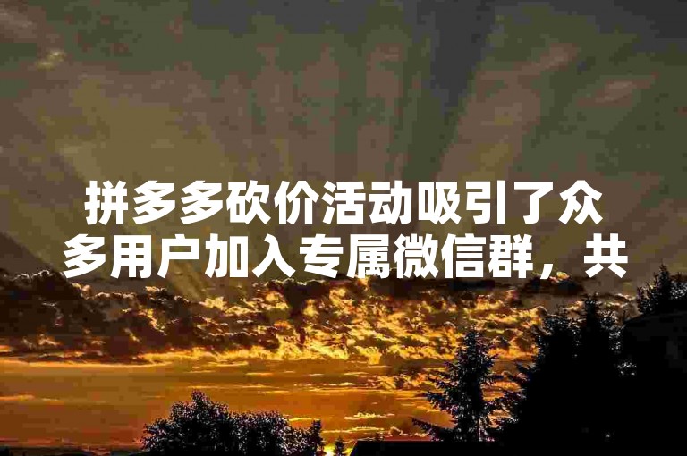 拼多多砍价活动吸引了众多用户加入专属微信群，共同享受免费砍价的乐趣。