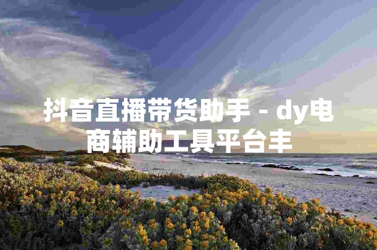 抖音直播带货助手 - dy电商辅助工具平台丰
