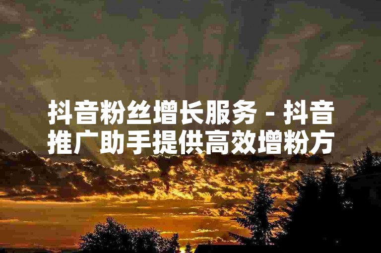 抖音粉丝增长服务 - 抖音推广助手提供高效增粉方案，微信联系享优惠。