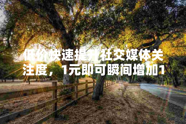 低价快速提升社交媒体关注度，1元即可瞬间增加1000粉丝。