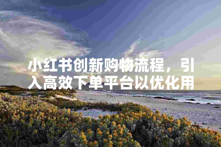 小红书创新购物流程，引入高效下单平台以优化用户购物体验？