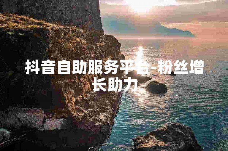 抖音自助服务平台-粉丝增长助力