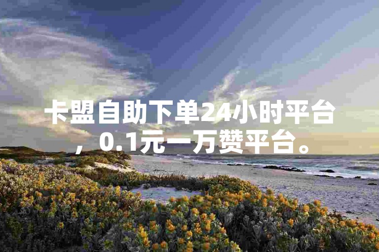 卡盟自助下单24小时平台，0.1元一万赞平台。