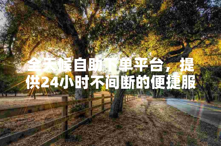 全天候自助下单平台，提供24小时不间断的便捷服务。