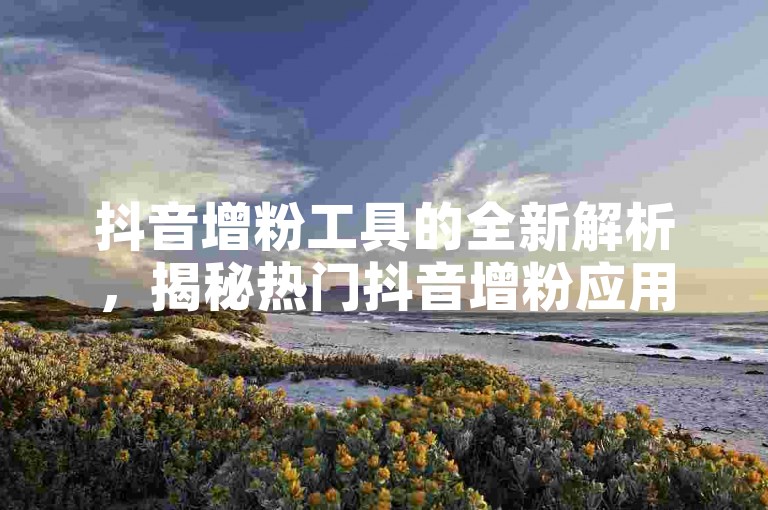 抖音增粉工具的全新解析，揭秘热门抖音增粉应用，2024年不可错过的学习资源！