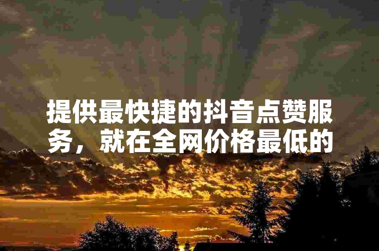 提供最快捷的抖音点赞服务，就在全网价格最低的自助下单平台。