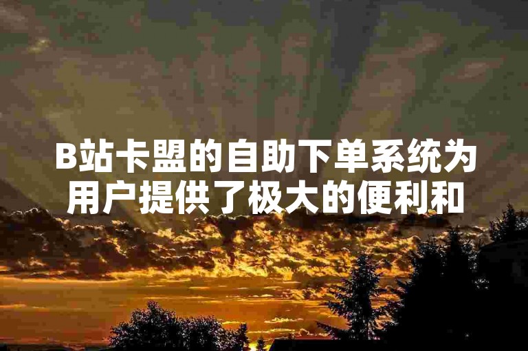 B站卡盟的自助下单系统为用户提供了极大的便利和高效的服务体验。