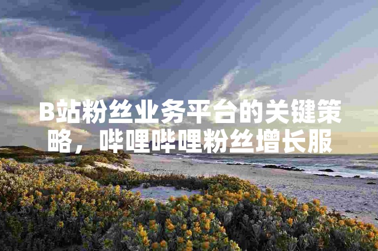 B站粉丝业务平台的关键策略，哔哩哔哩粉丝增长服务！新手必看！