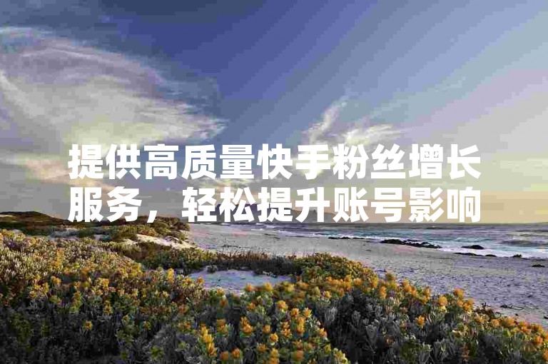 提供高质量快手粉丝增长服务，轻松提升账号影响力。