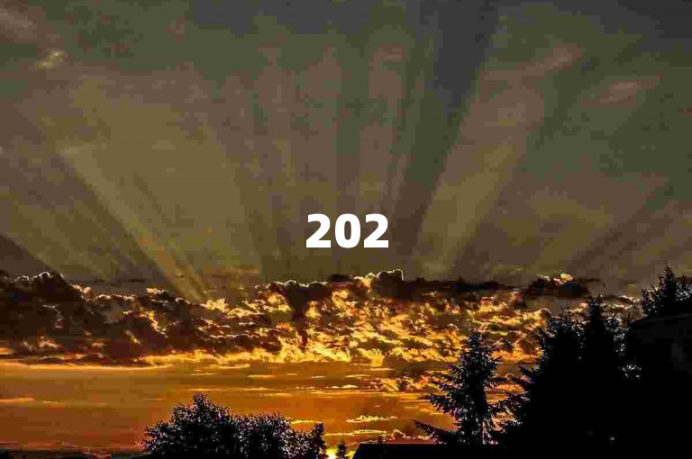 2025年拼多多最新砍价互助群二维码，助力PDD砍价活动。