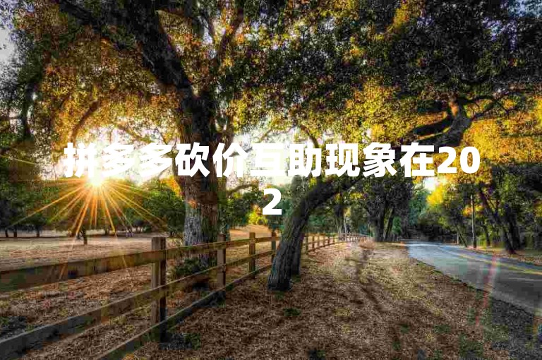 拼多多砍价互助现象在2025年将如何演变，值得我们深入探讨。