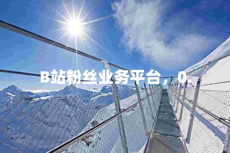 B站粉丝业务平台，0.5元100赞自助下单，快速提升视频热度。