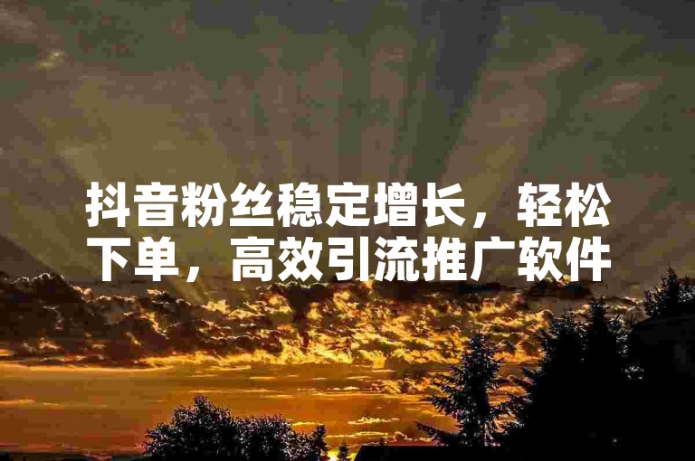 抖音粉丝稳定增长，轻松下单，高效引流推广软件。