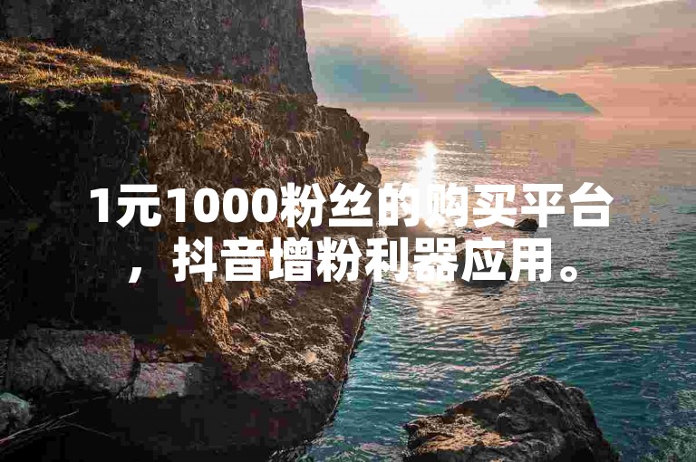 1元1000粉丝的购买平台，抖音增粉利器应用。