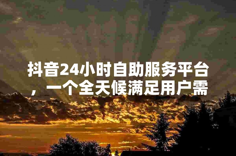抖音24小时自助服务平台，一个全天候满足用户需求的综合性服务平台。