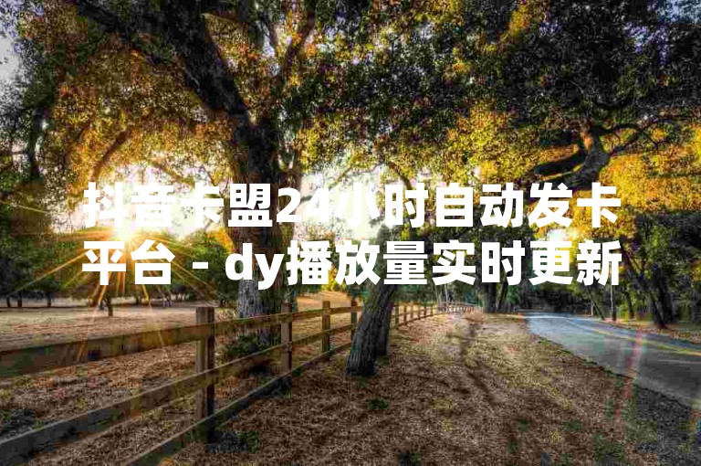 抖音卡盟24小时自动发卡平台 - dy播放量实时更新