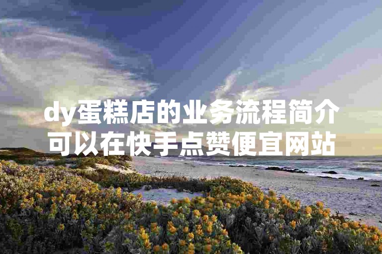 dy蛋糕店的业务流程简介可以在快手点赞便宜网站上找到。