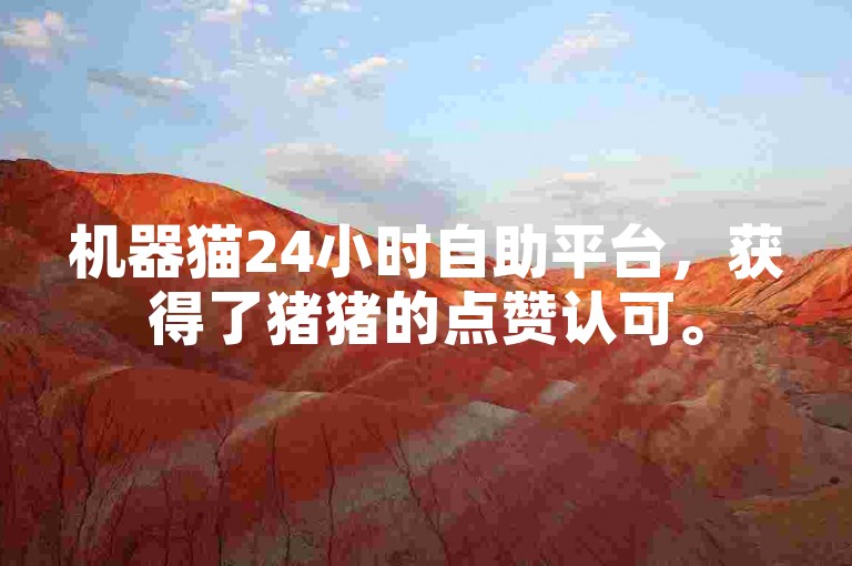 机器猫24小时自助平台，获得了猪猪的点赞认可。