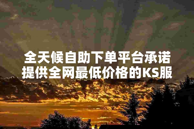 全天候自助下单平台承诺提供全网最低价格的KS服务，确保用户能够快速便捷地完成订购。