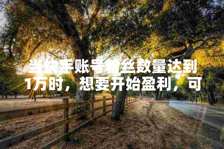 当快手账号粉丝数量达到1万时，想要开始盈利，可以通过哪些有效的策略来实现呢？（探索快手拥有1万粉丝后如何制定盈利计划）