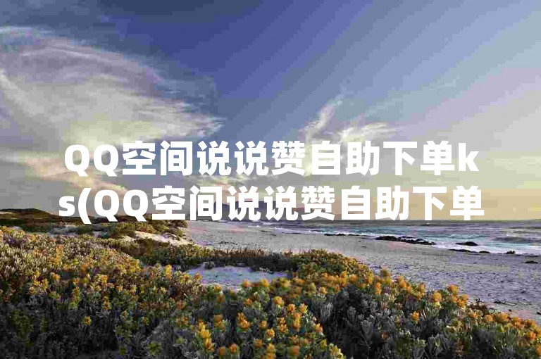 QQ空间说说赞自助下单ks(QQ空间说说赞自助下单)