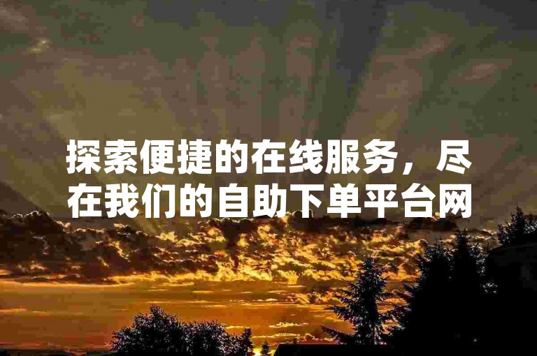 探索便捷的在线服务，尽在我们的自助下单平台网站，提供全网最低价格的dy软件。