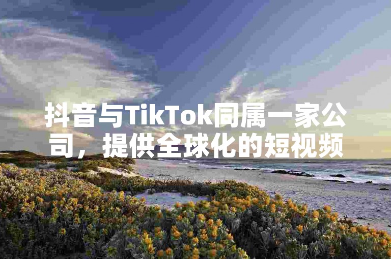 抖音与TikTok同属一家公司，提供全球化的短视频分享服务。
