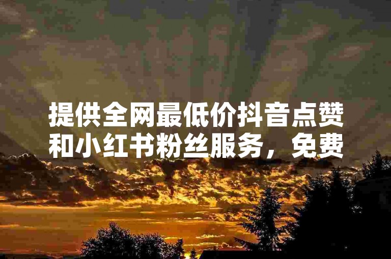 提供全网最低价抖音点赞和小红书粉丝服务，免费下单平台等你来体验。