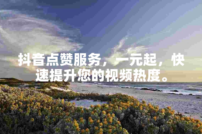 抖音点赞服务，一元起，快速提升您的视频热度。