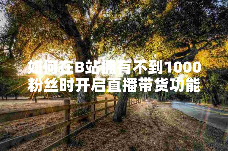 如何在B站拥有不到1000粉丝时开启直播带货功能 - 探索B站24小时自助下单服务平台。