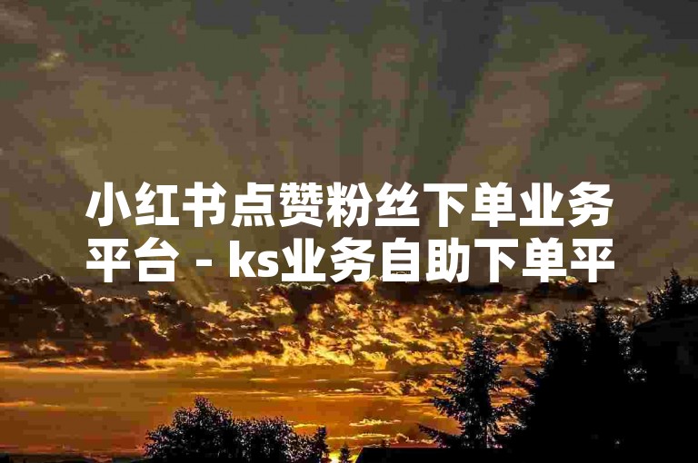 小红书点赞粉丝下单业务平台 - ks业务自助下单平台厦门，提供专业的社交媒体推广服务。